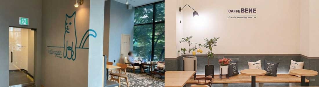 CaffeBene CaffeBene